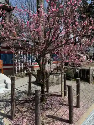 飛驒天満宮(岐阜県)