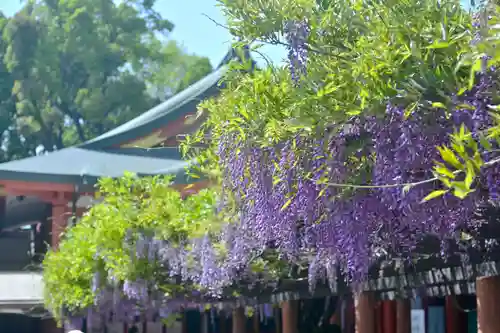 日枝神社の自然