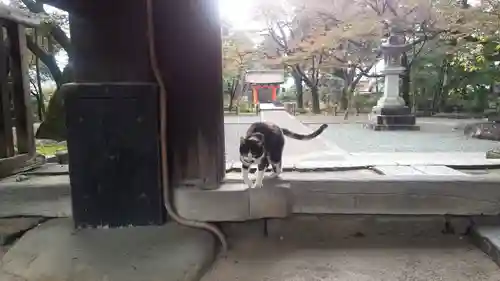 恵林寺(山梨県)