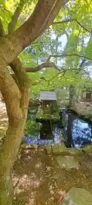 氷上神社の{uncategorized: "未分類", other: "その他", undefined: "問題あり", building: "その他建物", grave: "お墓", sacred_gate: "鳥居", guardian: "狛犬", statue: "像", buddha: "仏像", history: "歴史", nature: "自然", garden: "庭園", animal: "動物", pagoda: "塔", temizu: "手水舎", mountain_gate: "山門・神門", sanctuary: "本殿・本堂", subordinate: "末社・摂社", art: "芸術", scenery: "景色", jizo: "地蔵", ema: "絵馬", goshuin: "御朱印", omikuji: "おみくじ", items: "授与品その他", amulet: "お守り", goshuincho: "御朱印帳", eats: "食事", festival: "お祭り", votive_dance: "神楽", shichigosan: "七五三参", wedding: "結婚式", experience: "体験その他", initially: "初詣", around: "周辺", anti_infection: "感染症対策"}