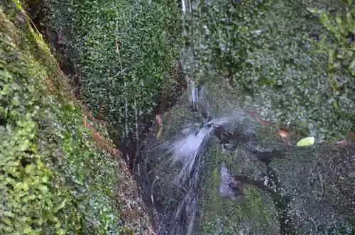 慈照寺（慈照禅寺・銀閣寺）(京都府)