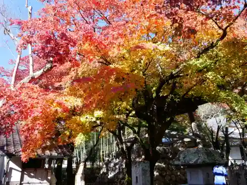 修禅寺の建物その他