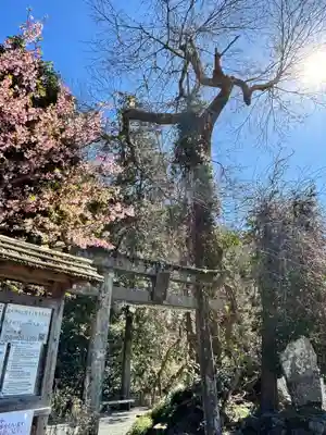 瀧川神社(静岡県)