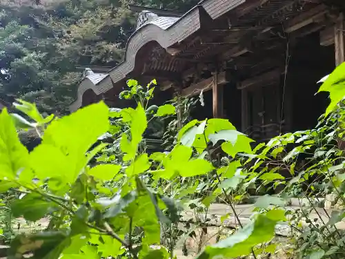 穴師坐兵主神社(奈良県)