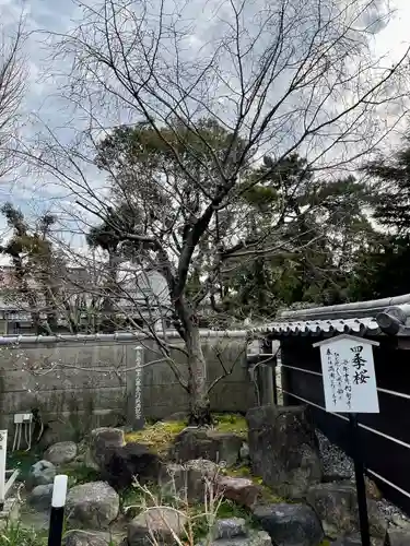 太閤山常泉寺の自然