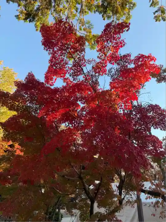 真正極楽寺(真如堂)(京都府)