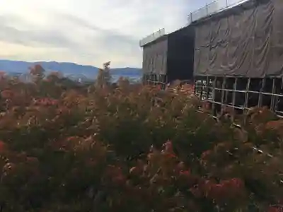 清水寺の本殿・本堂