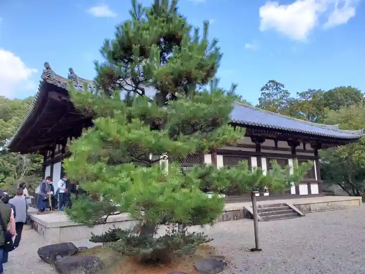 秋篠寺(奈良県)