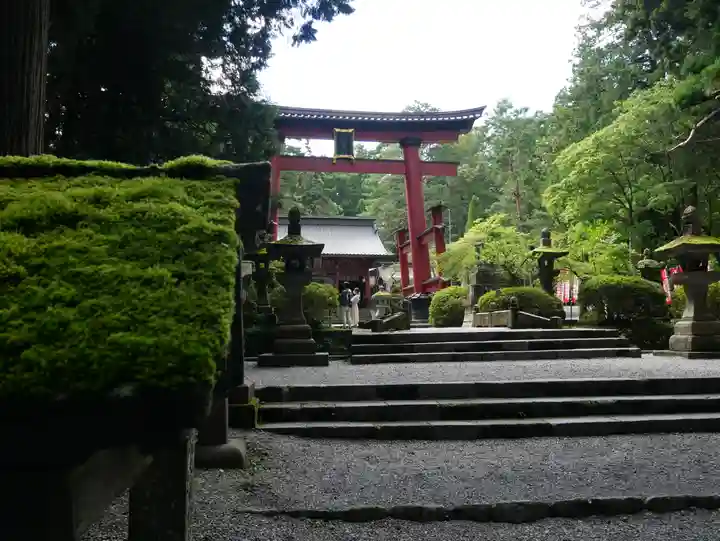 北口本宮冨士浅間神社の鳥居