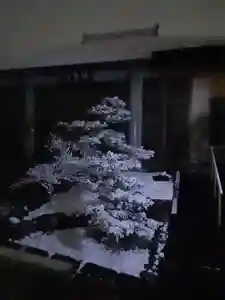 西方山極楽寺(岐阜県)(2025年02月05日(水) 23時52分59秒投稿)