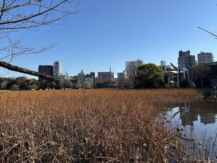 不忍池大黒天堂(東京都)