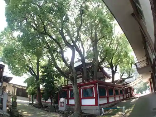 開口神社の本殿