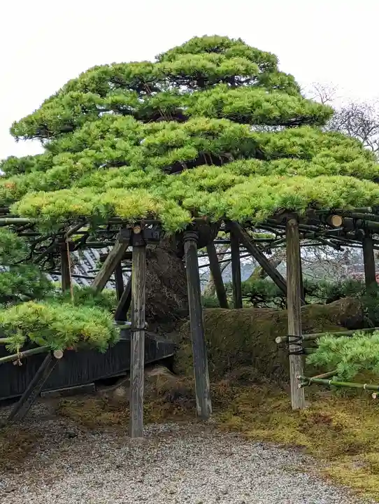 善峯寺(京都府)