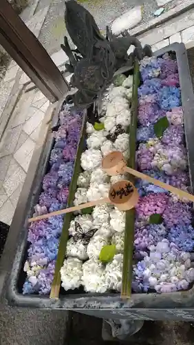 柳谷観音　楊谷寺の手水舎