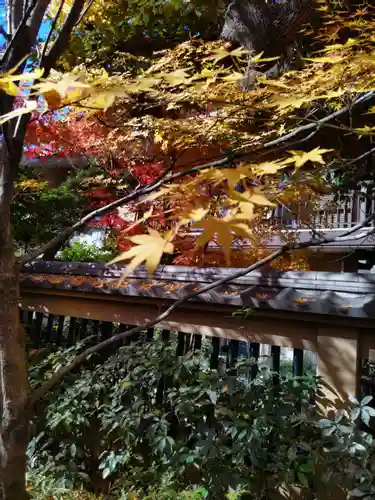 宝勝山　南藏院   蓮光寺の庭園