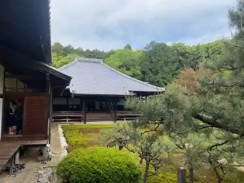 隨心院（随心院）(京都府)