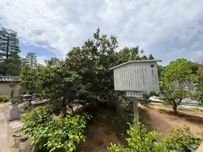 総見院の{uncategorized: "未分類", other: "その他", undefined: "問題あり", building: "その他建物", grave: "お墓", sacred_gate: "鳥居", guardian: "狛犬", statue: "像", buddha: "仏像", history: "歴史", nature: "自然", garden: "庭園", animal: "動物", pagoda: "塔", temizu: "手水舎", mountain_gate: "山門・神門", sanctuary: "本殿・本堂", subordinate: "末社・摂社", art: "芸術", scenery: "景色", jizo: "地蔵", ema: "絵馬", goshuin: "御朱印", omikuji: "おみくじ", items: "授与品その他", amulet: "お守り", goshuincho: "御朱印帳", eats: "食事", festival: "お祭り", votive_dance: "神楽", shichigosan: "七五三参", wedding: "結婚式", experience: "体験その他", initially: "初詣", around: "周辺", anti_infection: "感染症対策"}