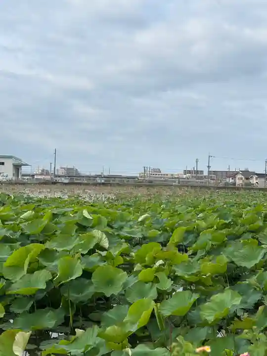 住吉神社(兵庫県)