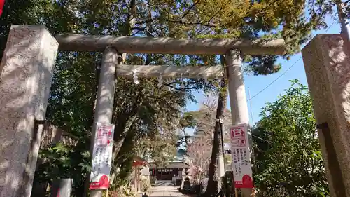 八雲氷川神社の鳥居