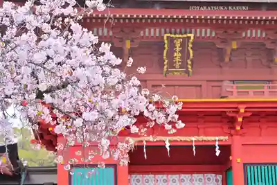 富士山本宮浅間大社(静岡県)