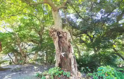 下水神社(静岡県)