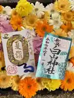 白山神社の御朱印