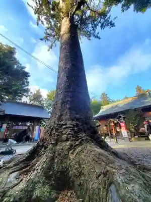 滑川神社 - 仕事と子どもの守り神(福島県)