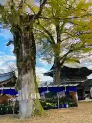 普光寺(新潟県)