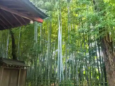 妙光院(東京都)