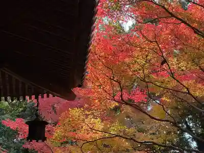 五流尊瀧院(岡山県)