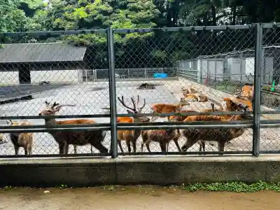 鹿島神宮(茨城県)