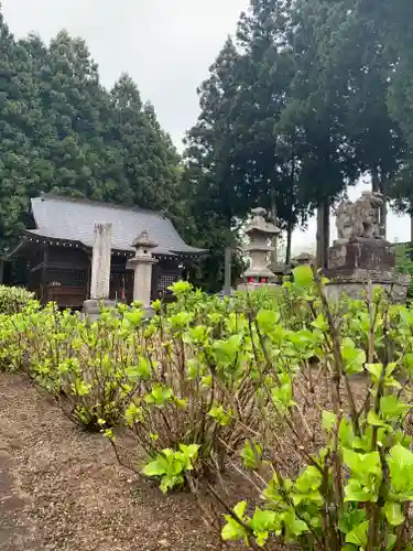 八幡神社の自然
