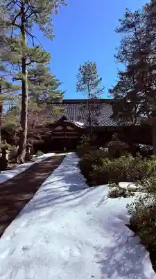 天徳院の{uncategorized: "未分類", other: "その他", undefined: "問題あり", building: "その他建物", grave: "お墓", sacred_gate: "鳥居", guardian: "狛犬", statue: "像", buddha: "仏像", history: "歴史", nature: "自然", garden: "庭園", animal: "動物", pagoda: "塔", temizu: "手水舎", mountain_gate: "山門・神門", sanctuary: "本殿・本堂", subordinate: "末社・摂社", art: "芸術", scenery: "景色", jizo: "地蔵", ema: "絵馬", goshuin: "御朱印", omikuji: "おみくじ", items: "授与品その他", amulet: "お守り", goshuincho: "御朱印帳", eats: "食事", festival: "お祭り", votive_dance: "神楽", shichigosan: "七五三参", wedding: "結婚式", experience: "体験その他", initially: "初詣", around: "周辺", anti_infection: "感染症対策"}