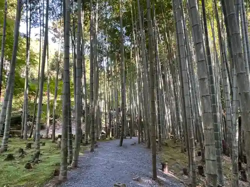 圓光寺(京都府)