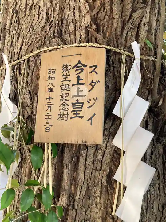 太子堂八幡神社(東京都)