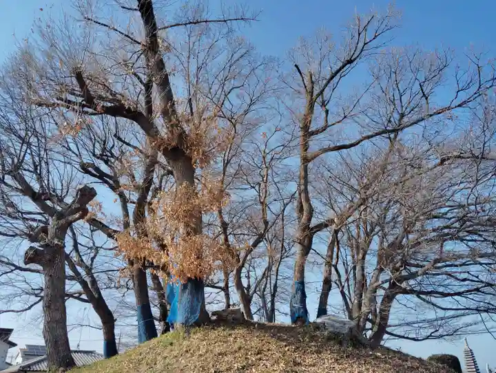 山王山古墳(群馬県)