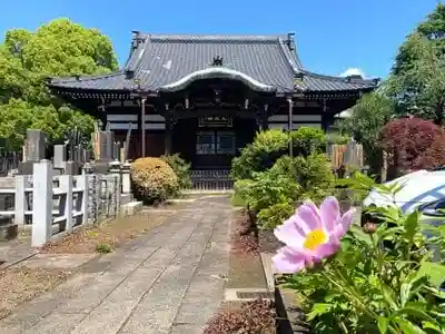 感應寺の本殿