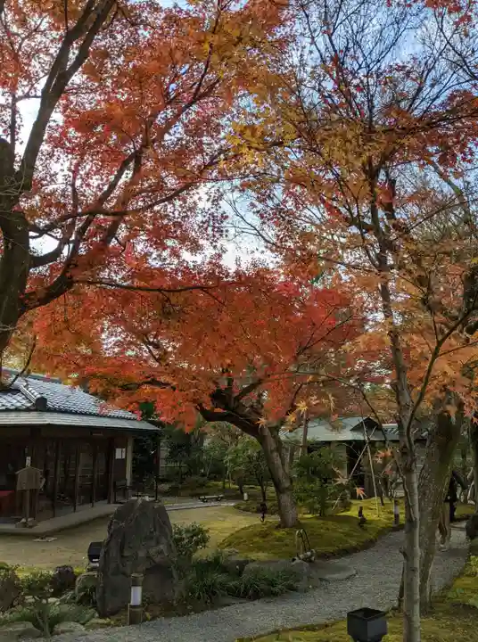 高台寺(高台寿聖禅寺・高臺寺)(京都府)