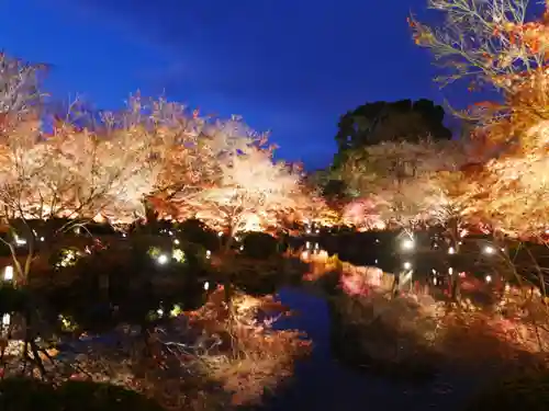 東寺（教王護国寺）の景色