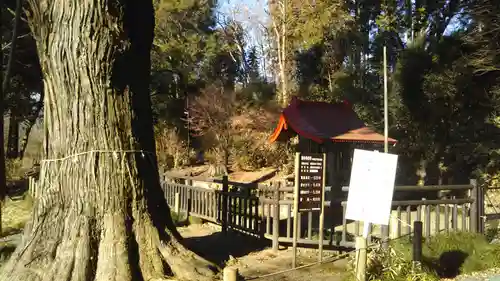 清水神社の建物その他