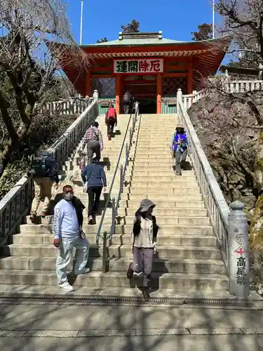 高尾山薬王院の山門