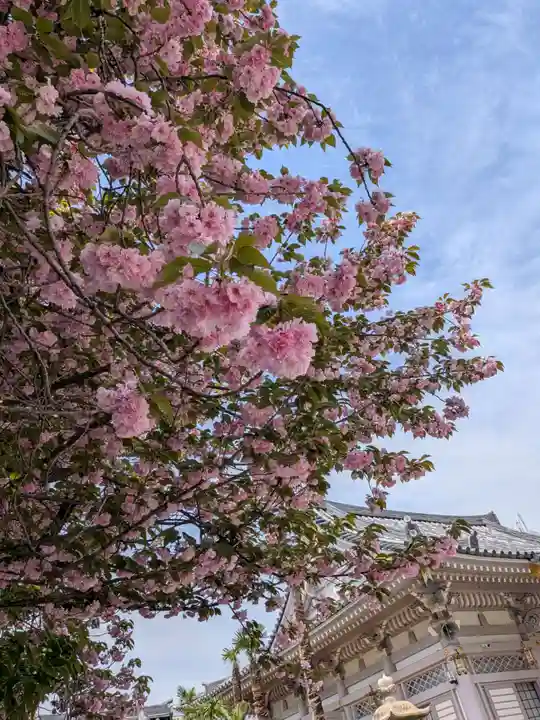 荘厳寺(東京都)