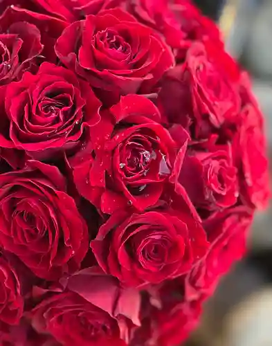 上尾御嶽神社の手水舎