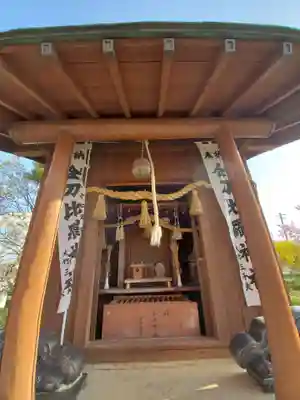 金毘羅桜の本殿・本堂