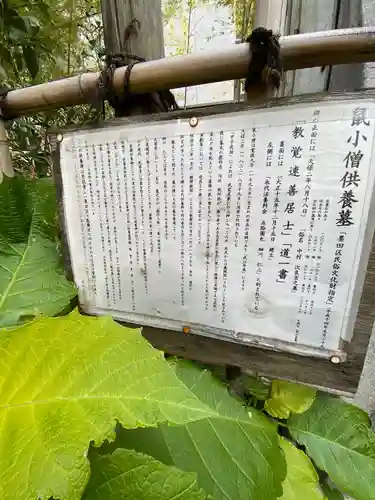 回向院の歴史