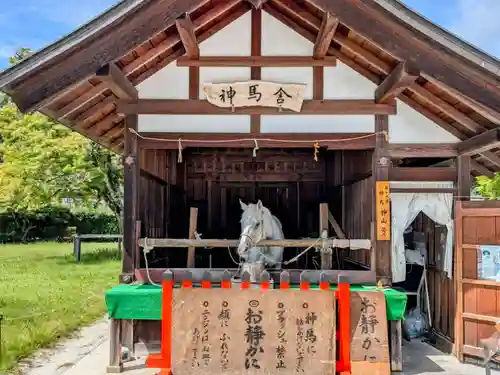 賀茂別雷神社（上賀茂神社）(京都府)