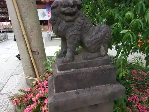 素盞雄神社の狛犬