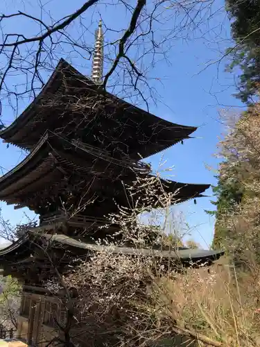 國泰寺のその他建物