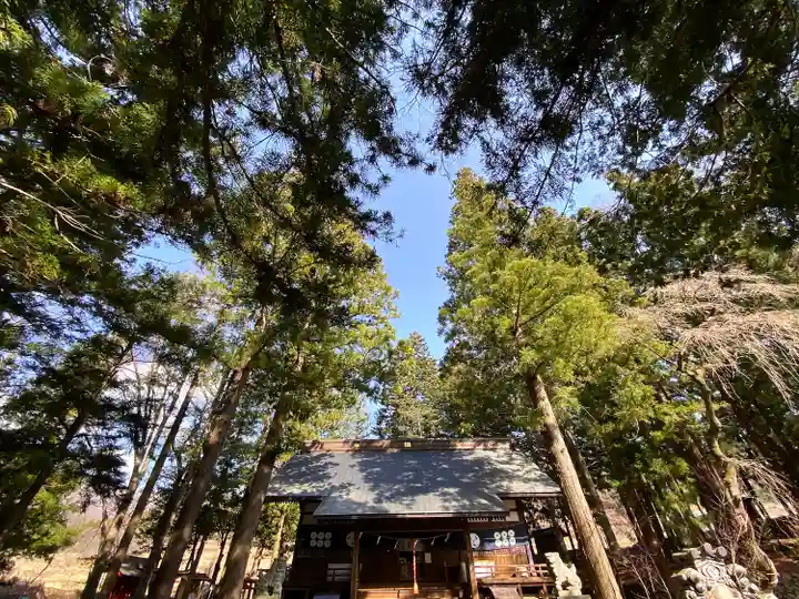 山家神社の自然