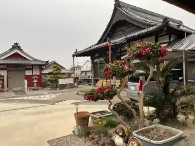 専長寺(愛知県)